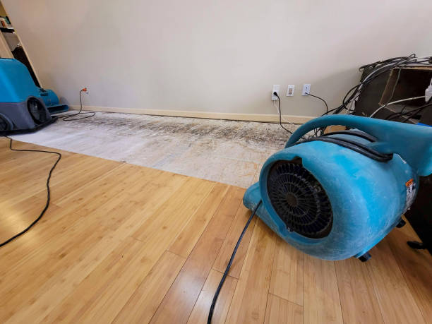 Professional Ceiling Water Damage Repair technician working in Surgoinsville, TN